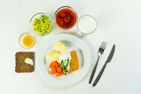 Plate model, Elderly